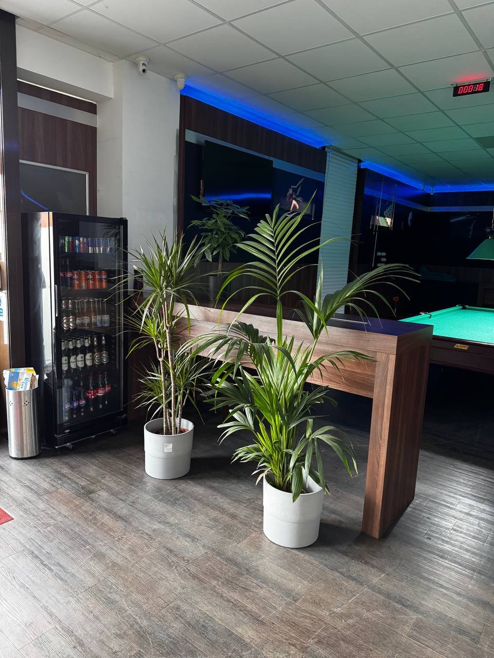 Бильярдный зал русского бильярда в Оберхаузене – Billard O.