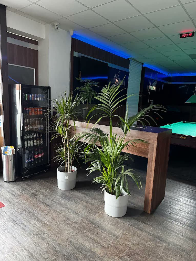 Входная зона Billard O. с растениями, холодильником напитков и видом на бильярдный стол